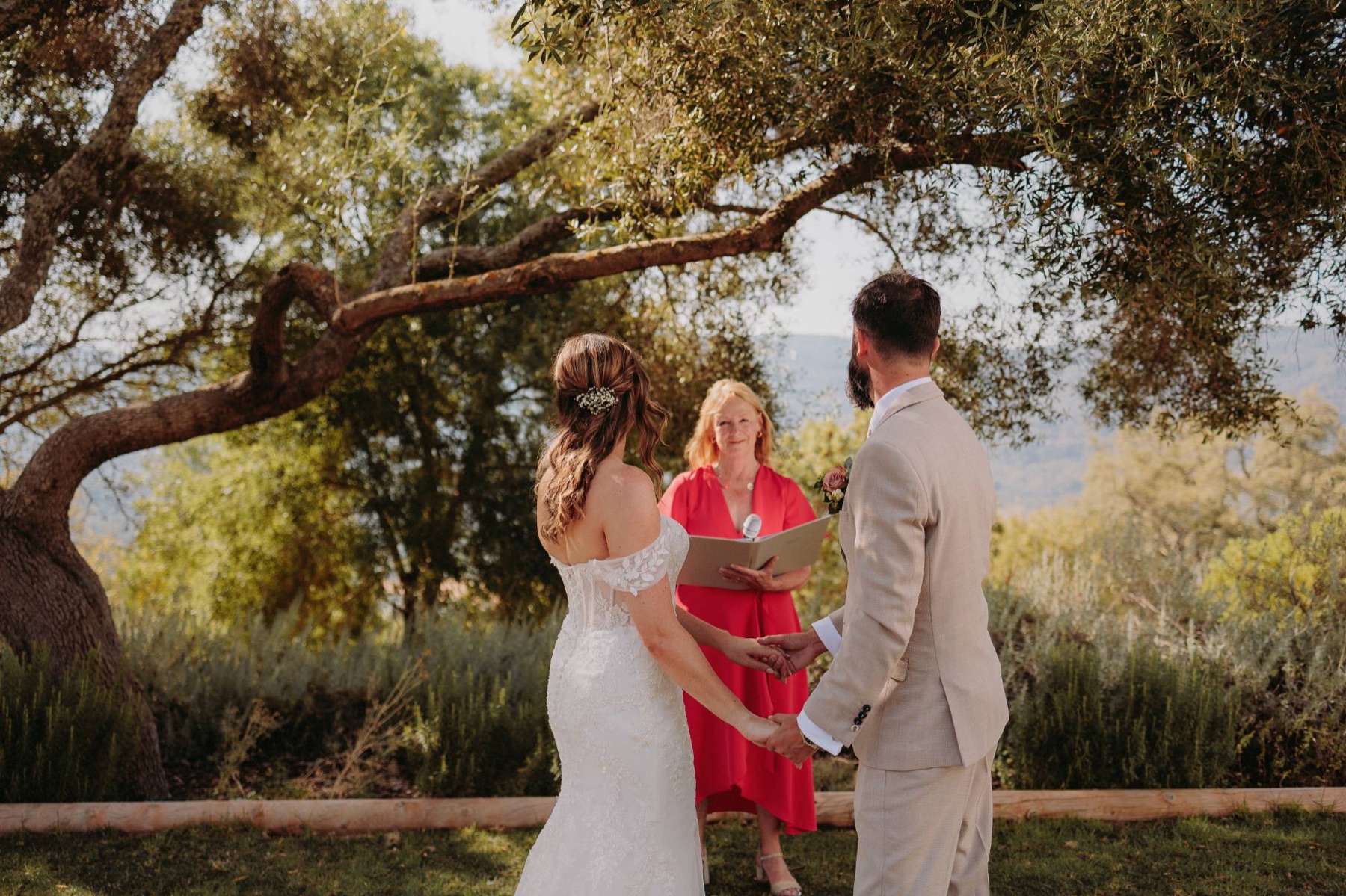 Chris leading a couple's outdoor ceremony beneath an olive tree